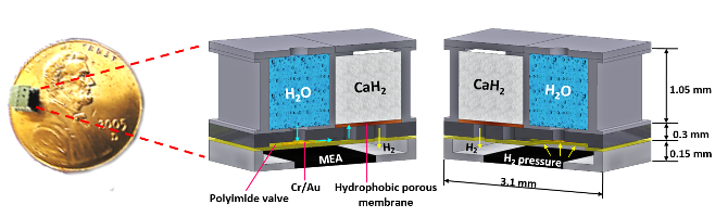 Micro Fuel Cell Picture