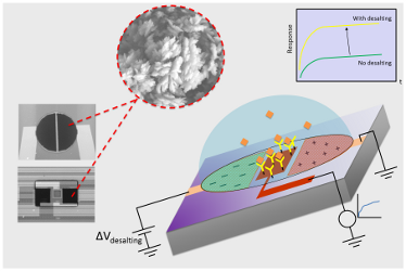 NanoBioSensor Picture